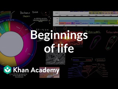 Beginnings of life | Life on earth and in the universe | Cosmology & Astronomy | Khan Academy