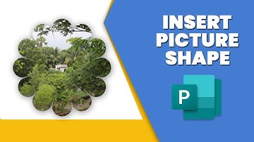 How to insert a picture into a shape in publisher