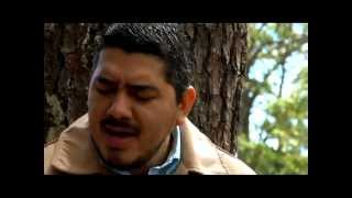 Video thumbnail of "ORA SIN DESANIMARTE (video oficial) Ricardo Amaya"
