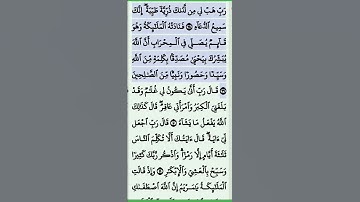 تلاوة خاشعة سورة آل عمران من الاية 39...40 . القرآن الكريم القرآن تلاوات