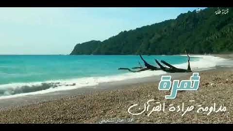 🌱كثرة تلاوة القرآن ترضي الله عنك🌿🌷