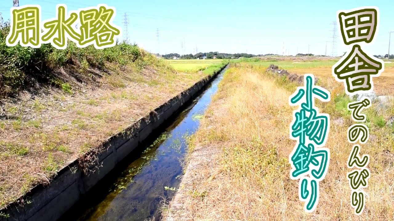 田んぼの脇を流れる田舎の用水路で小魚をたくさん釣ろう 用水路 Youtube