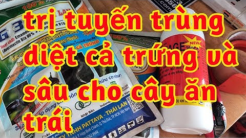 rắc tưới tuyến trùng rệp sáp gốc trị sâu đục quả mọt đục cành rầy rệp trên lá 023