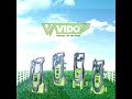 VIDO High Pressure Washer Range
