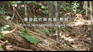 學習取竹與剖篾-初階/How to select bamboo and make strips-Beginner level