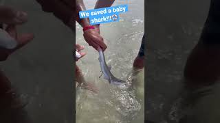 We saved a baby shark!!! screenshot 5