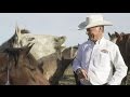 Wild Horses & Wild Men: Horse Whisperer Tames Wild Hearts in Arizona