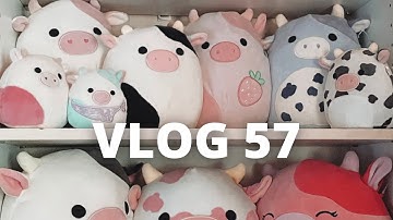 Come Squishmallow Hunting with me! | VLOG 57