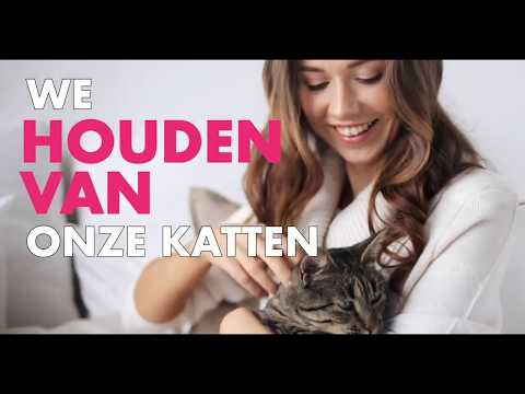 Video: Hoe Leer Je Een Kat Om Naar Het Toilet Te Gaan?