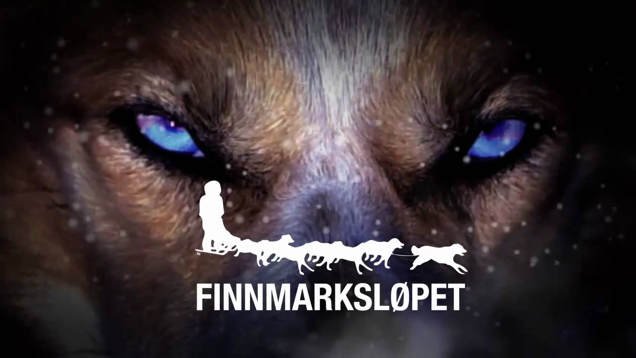 Resultado de imagen de finnmarkslopet