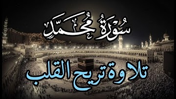 سورة محمد كاملة بصوت خاشع يريح القلب - القارئ علاء عقل [ الختمة المرتلة ] Surah Muhammad - Alaa Aqel