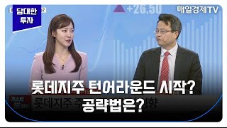 [담대한 투자] 롯데지주 턴어라운드 시작? 공략법은? / 차홍선 케미칼에너지투자자문 대표