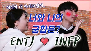 [MBTI/엠비탸] 찰떡궁합이라며,, 인프피와 엔티제의 잘못된 만남 *INFP-ENTJ 궁합편