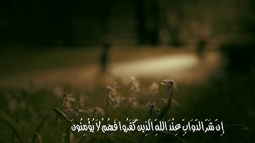 تلاوة من سورة الانفال | صلاة التراويح