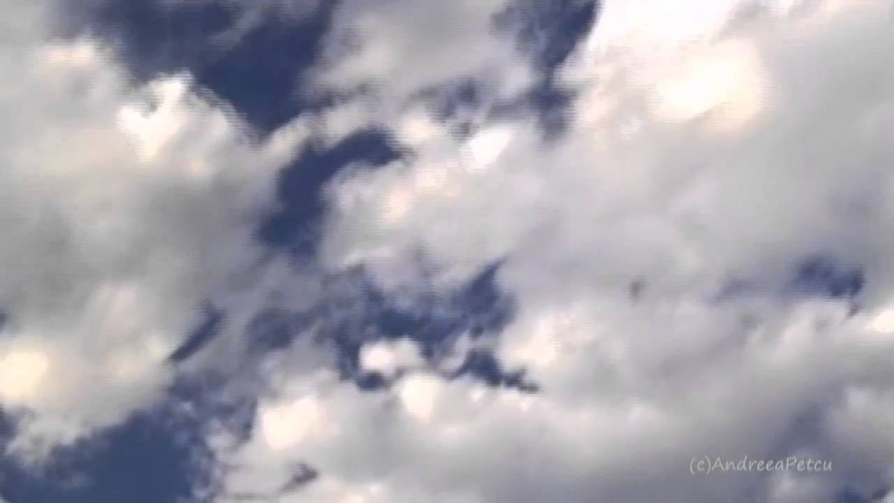 RYAN FARISH - Freedom Song - YouTube