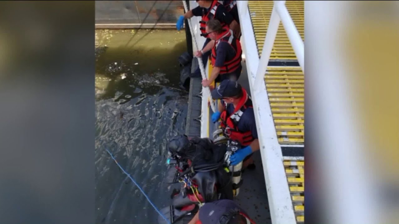 newspaper mockup Search resumes for 3 boaters missing in Chicago River canal