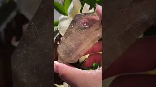 Golden rutilated Quartz