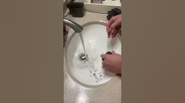 Cleaning Skull Shaver