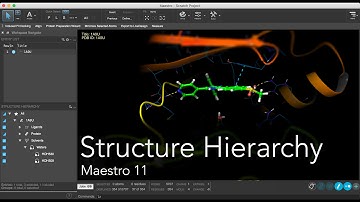 Maestro 11 - Structure Hierarchy