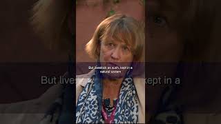 Can technology take on the world’s food security & shortage?