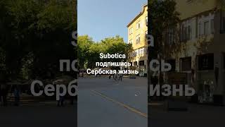 Сербская жизнь. #русскиевсербии #эмиграцияизроссии #жизньзаграницей