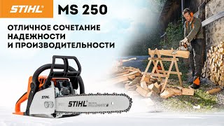 Надежная бензопила на каждый день || STIHL MS 250 || Купи на Дачу