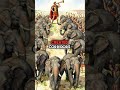 Student Defeats Master: How Scipio Beat Hannibal Using His Own Tactics