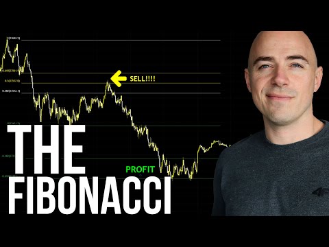 Video: Hvilken er fibonacci-sekvensen?