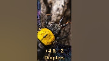Maven Magnetic Diopters – Stunning Macro Shots Without a Macro Lens! | Wave 3 Kickstarter #Shorts