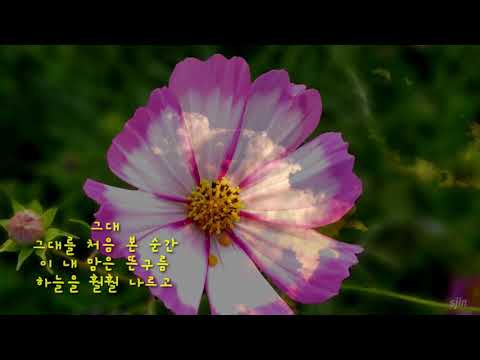 송골매 처음 본 순간