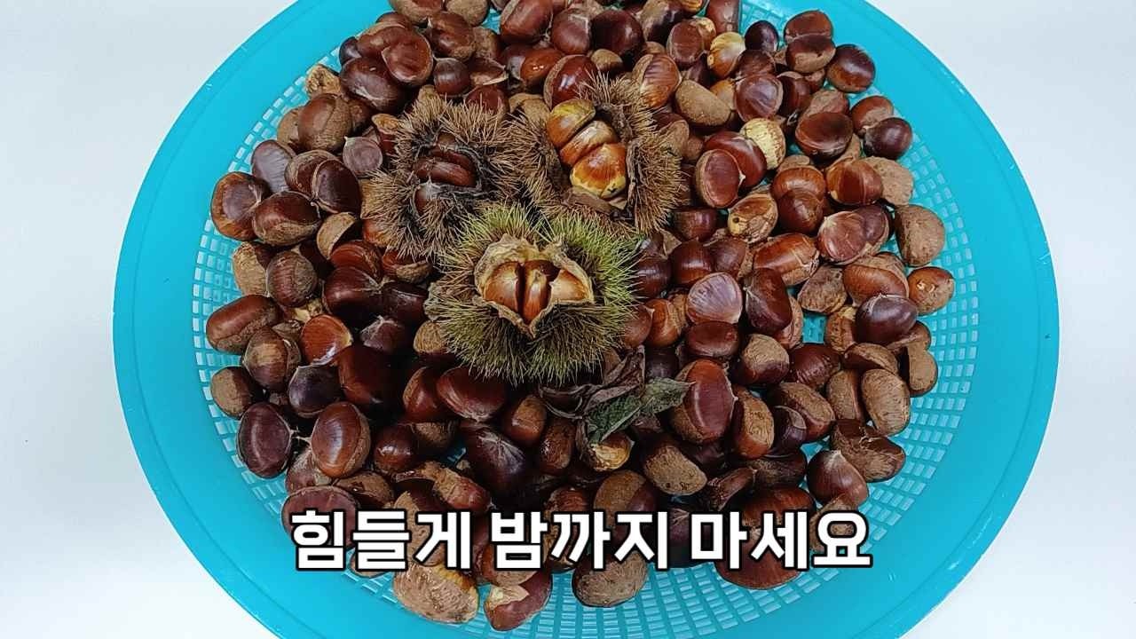 살다 살다 밤 이렇게 쉽게 먹는법 처음 보았어요 - YouTube