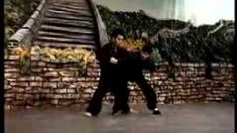 chen Zhonghua Pushhands with Ronnie Yee 3