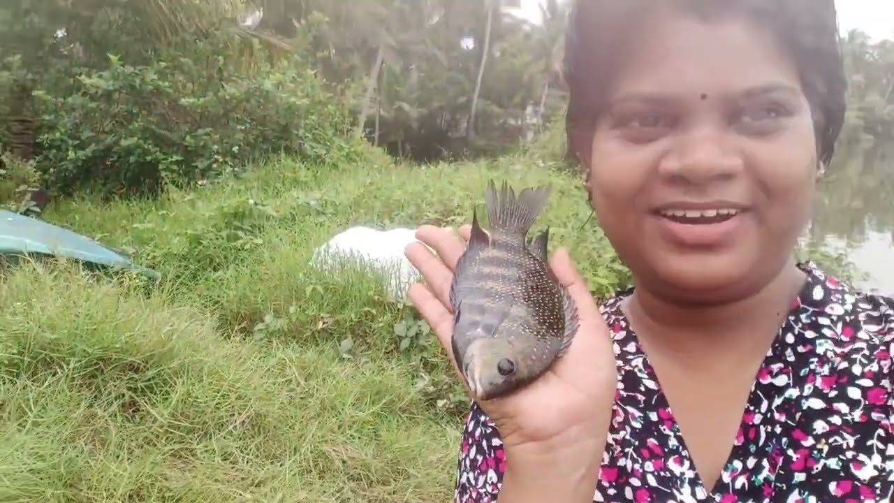 നാരൻ ചെമ്മീൻ കണ്ട് ഒരു വല വീശി..#fishinglife #netfishing #kayalfishing #keralfishing #netfishing 