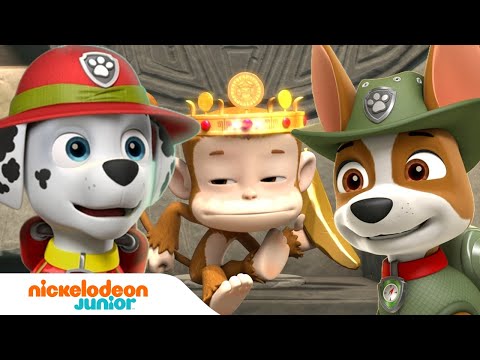 Paw Patrol : La Pat' Patrouille  Tracker le ranger de la jungle