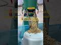 Corn kernels, peanut cakes, grass, millet, test run results #granulator