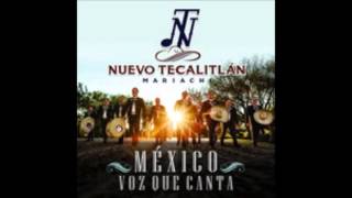 A Mi Tierra- Mariachi Nuevo Tecalitlan chords