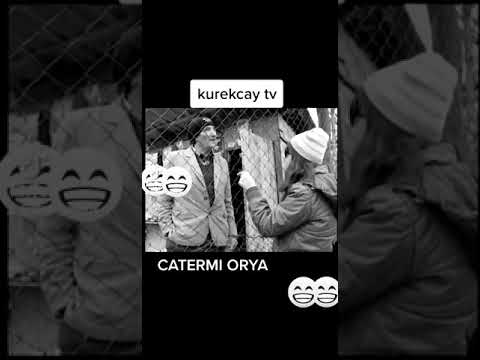 Catermi orya