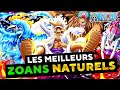  les meilleurs et les pires zoans naturels  onepiece live