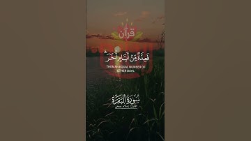 شهر رمضان الذي اُنزل فيه القرآن هدى للناس.. #شهر_رمضان #إسلام_صبحي #سورة_البقرة #ريحانة_قرآن #قرآن