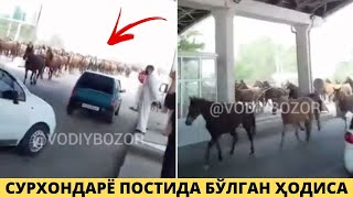 КЕЧА ДЕНОВ ПОСТИДА ОДАМЛАР ГАЛАТИ ХОДИСАНИ ГУВОХИ БУЛИШДИ