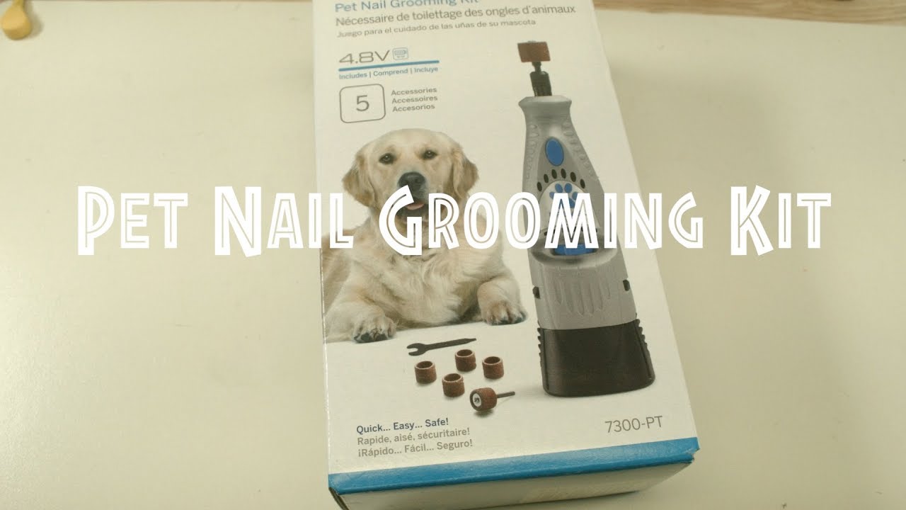 KITGUARD Diamond Dremel Dog Nail Grinder Bits for Rotary Tool-1/8'' Dremel  Dog Nail Grinder Attachment-Pet Nail Grinder Bit Work for Animals Nail Care  2-Pack (Large B) : Amazon.co.uk: Pet Supplies