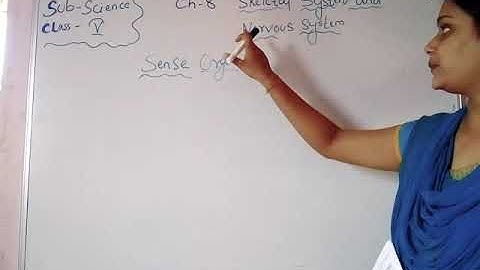 Std-5 science part-2 ch-8 (skeletal system and nervous system)