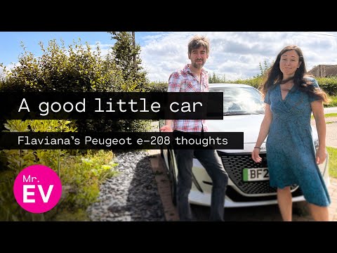 Flaviana's Thoughts on the Peugeot E-208