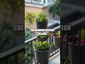 Balcony Pollinator Corridors for Urban Habitats