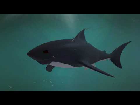  Animasi  monster hiu  YouTube