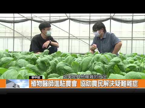 植物醫師進駐農會 協助農民解決疑難雜症-新永安新聞