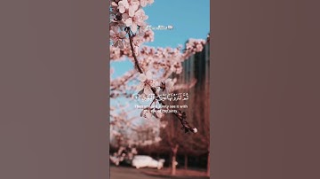 القارئ عبدالله الخلف (سورة التكاثر) #القرآن_الكريم