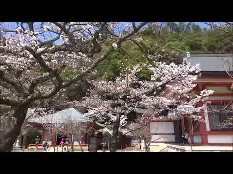 Flamingo (karaoke)