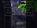 Present Continuous Tense