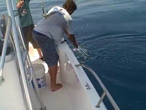  Fishing Daytona Beach - YouTube